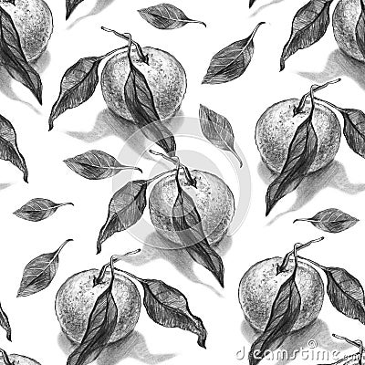 Realistic pencil seamless pattern with orange, mandarin with leaves, Stock Photo
