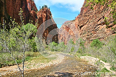 Realistic Photo without colors effects of a River In Zion National Park Stock Photo