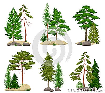 Realistic Pine Forest Elements Set Vector Illustration