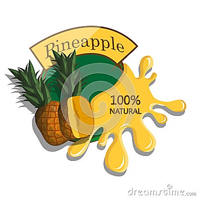 Realistic pineapple. Vector Illustration