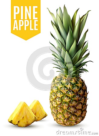 Realistic Pineapple Illustration Vector Illustration