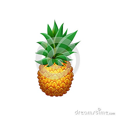 Realistic Pineapple isolated on white background. Cartoon flesh juicy tropical fruit Vector Illustration