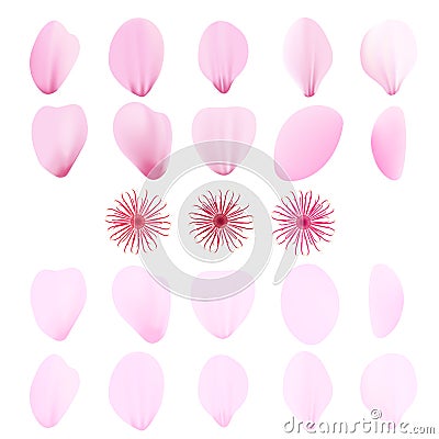 Realistic pink sakura petals icon set. Cherry petals Vector Illustration