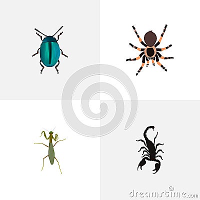 Realistic Poisonous, Grasshopper, Tarantula And Other Vector Elements. Set Of Bug Realistic Symbols Also Includes Locust Vector Illustration
