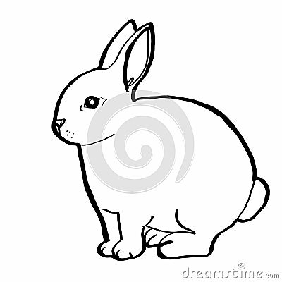 Realistic rabbit drawing Vector Illustration