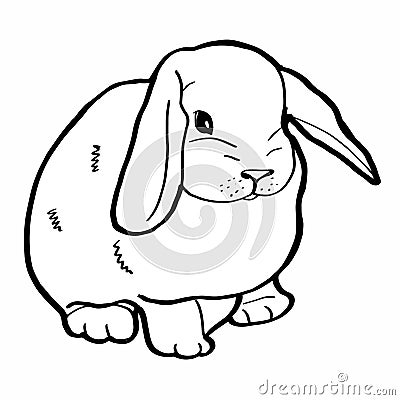 Realistic rabbit drawing Vector Illustration