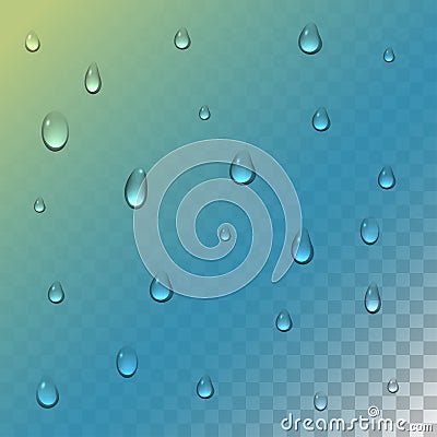 Realistic rain drops on transparent background. Clean water drop condensation. Vector illustration. Vector Illustration