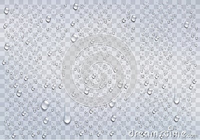 Realistic rain drops on the transparent background. Vector Illustration