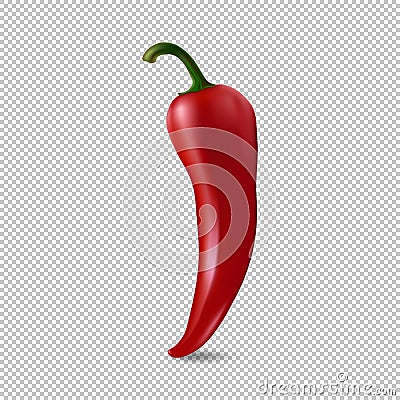 Realistic red chilli pepper icon isolated on transparent background. Design template of food closeup in vector. Vector Illustration