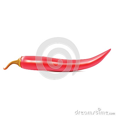 Realistic red hot chili pepper on white background. Vector illustration Vector Illustration