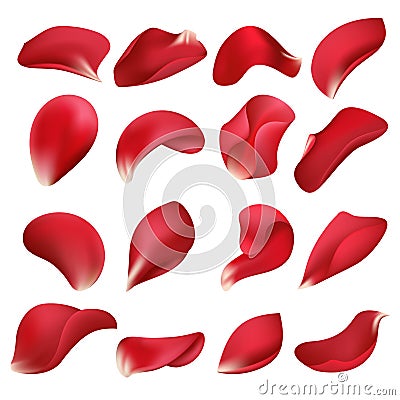 Realistic red rose flower petals isolated on white background vector set Vector Illustration