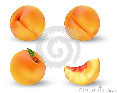 Realistic ripe peach fruit isolated on white. Whole and cut in half orange peach with seed and green leaf. Vector Vector Illustration