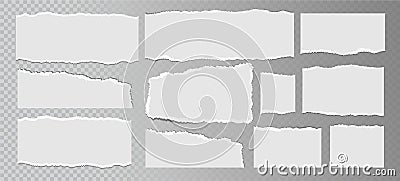 Realistic ripped white paper sheets isolated on transparent background. Torn blank pages with uneven texture. Vector Vector Illustration