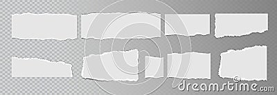 Realistic ripped white paper sheets isolated on transparent background. Torn blank pages with uneven texture. Vector Vector Illustration