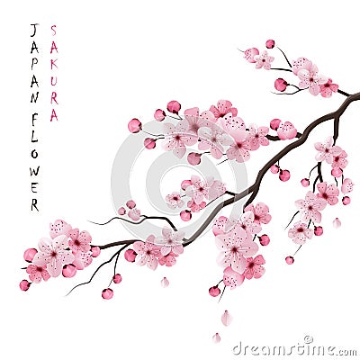 Realistic Sakura Branch Vector Illustration