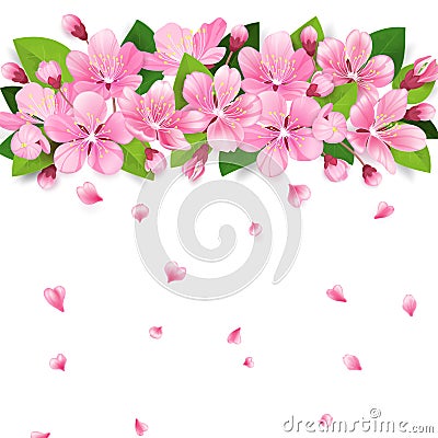 Realistic sakura japan cherry or apple tree branch with blooming flowers. Pink flowers border with falling petals on Vector Illustration