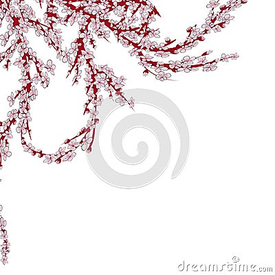 Realistic sakura japan cherry branch with blooming flowers. EPS 10 vector file included Vector Illustration