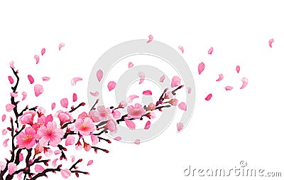 Realistic sakura japan cherry branch Vector Illustration
