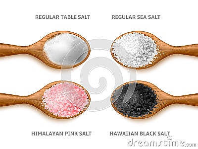 Realistic salt types. Cooking crystals and powder, different sea natural product in woden spoon, organic dry grains top Vector Illustration