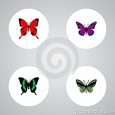 Realistic Sangaris, Beauty Fly, Tropical Moth And Other Vector Elements. Set Of Moth Realistic Symbols Also Includes Vector Illustration