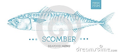 Realistic scomber fish. Seafood menu design Vector Illustration