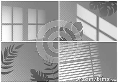 Realistic shadow overlay. Window light with shadow texture of tropical plant leaves on isolated background. Vector shade Vector Illustration