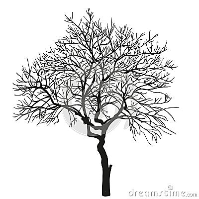 Realistic silhouette of tree. vector Vector Illustration