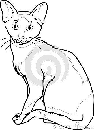 Realistic sitting cat sketch template. Cartoon graphic vector illustration in black and white Vector Illustration