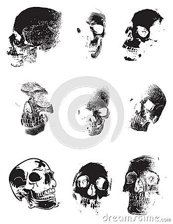 Realistic Skull set vestor illustration poster template Cartoon Illustration