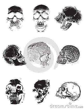 Realistic Skull set vestor illustration poster template Cartoon Illustration