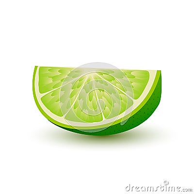 realistic slice of juicy green color lime with shadow on white background. Vector Illustration