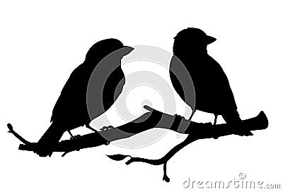 Realistic sparrows sitting on a branch. Monochrome vector illustration of black silhouettes of little birds sparrows Vector Illustration