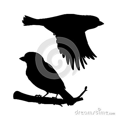 Realistic sparrows sitting and flying. Stencil. Monochrome vector illustration of black silhouettes of little birds Vector Illustration