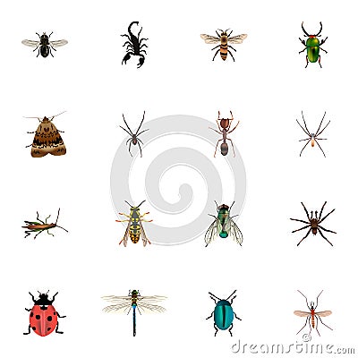 Realistic Spider, Spinner, Poisonous And Other Vector Elements. Set Of Bug Realistic Symbols Also Includes Spinner Vector Illustration