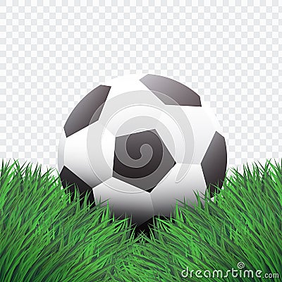 Realistic Style,Classic Football or Soccer on Green Grass design,isolated background,. Cartoon Illustration