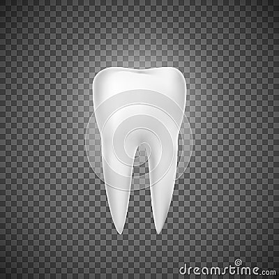 Realistic tooth illustration. Dental care and tooth restoration. Medicine icon. Vector illustration on ransparent background Vector Illustration