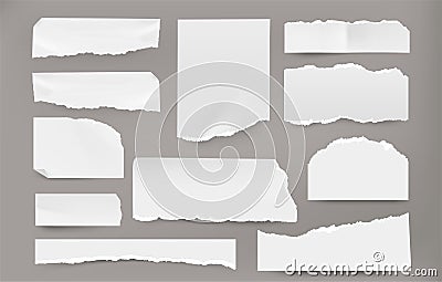 Realistic torn pages. Piece of white blank ripped notebook page and paper sheet, notepad and scrapbook pieces with Vector Illustration