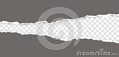 Realistic, torn, ripped strip of grey paper with a light shadow on a transparent background. Torn cardboard. Vector Illustration