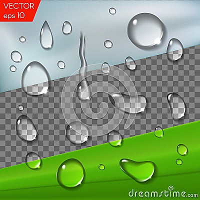 Realistic transparent water drops for placement on any background, glass or a leaf. Vector set isolated illustration Vector Illustration