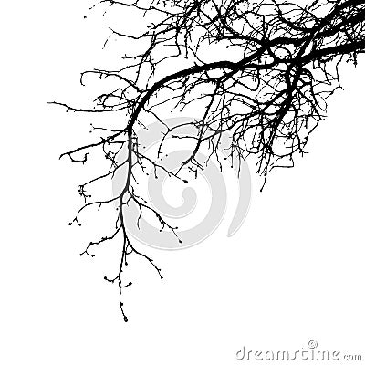 Realistic tree branches silhouette Vector illustration.Eps10 Cartoon Illustration