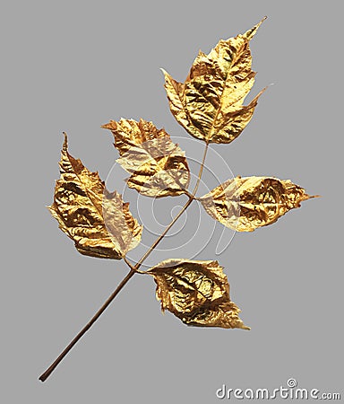 Realistic trendy gold painted leaves for invitation design Vector Illustration