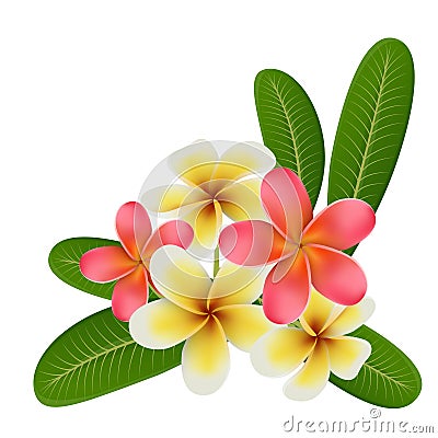 Realistic tropical flower and leaf isolated on white Vector Illustration