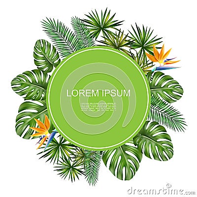 Realistic Tropical Natural Round Concept Vector Illustration