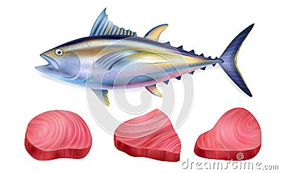 Realistic Tuna Fish Steak Icon Set Vector Illustration
