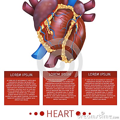 Realistic Vector Illustration Medical System Heart Stock Photo