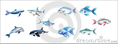 Realistic Vector Illustration of Various Marine Animals Including Whale, Shark, and Fish Vector Illustration