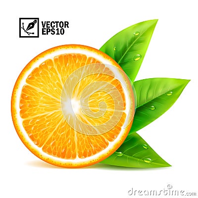 Realistic vector set of elements: slice of fresh orange with leaves and dew drops Editable handmade mesh Vector Illustration