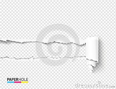 Vector teared off paper hole and scroll with rip edges on transparent background. Empty card banner for advertisement. Vector Illustration