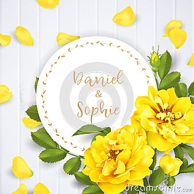 Realistic vector yellow rose. 3d roses Vector Illustration