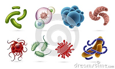 Realistic viruses. Germs and infection bacteria cells, microbiology objects visible in microscope isolated on white Vector Illustration